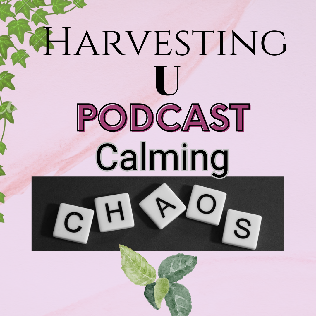 Calming the Chaos